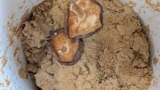 누카즈케 관리 일기_시큼해진 누카도코, 화학적으로 해결하기:산도 조절과 위생 관리